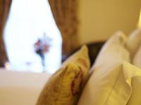 法利Filey Grange Guest House的沙发上两个枕头的闭合