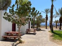 埃拉特SPNI Eilat Field School的两张野餐桌,位于一个棕榈树公园内