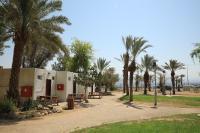 埃拉特SPNI Eilat Field School的棕榈树和长凳的公园和建筑