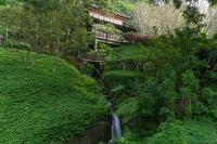 乌布Dua Dari, a Residence by Hadiprana的花园内的瀑布,房子的背景