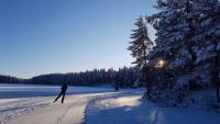 冬天的Falun Strandby Främby Udde