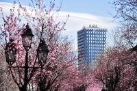Maritim Hotel Plaza Tirana平面图
