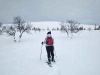 冬天的Ounasloma Holiday Cottages
