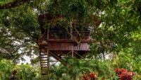 Hotel Heliconias Nature Inn &amp; Hot Springs外面的花园