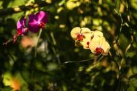 Casa Park外面的花园