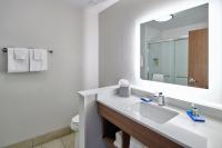 Holiday Inn Express & Suites El Paso East-Loop 375 by IHG的一间浴室