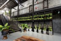 清迈Premier Hostel Chiang Mai的建筑架上一组盆栽植物