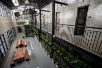 Premier Hostel Chiang Mai平面图
