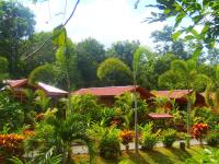Hotel Heliconias Nature Inn &amp; Hot Springs外面的花园