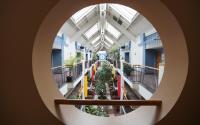 魁北克市Hôtel Lindbergh par JARO的植物建筑的内部景观