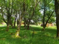 Glendalough Glamping - Adults Only外面的花园