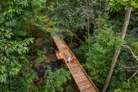 福尔图纳Chachagua Rainforest Hotel &amp; Hot Springs的丛林木桥的空中景色