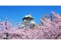 Eins,Inn Umeda Higashi - Vacation STAY 29915v平面图