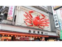 Eins,Inn Umeda Higashi - Vacation STAY 29915v平面图