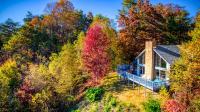 加特林堡Barenberg Cabin - Secluded Unobstructed Panoramic Smoky Mountains View with Two Master Suites, Loft Game Room, and Hot Tub的树中间的房子