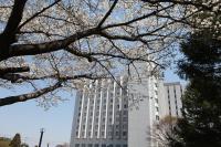 International Resort Hotel Yurakujo平面图
