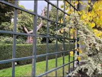 Hampstead Opulence Apartment - Luxurious Split Level Property外面的花园