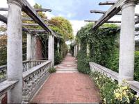 Hampstead Opulence Apartment - Luxurious Split Level Property外面的花园