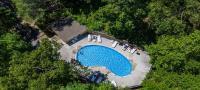 Barenberg Cabin - Secluded Unobstructed Panoramic Smoky Mountains View with Two Master Suites, Loft Game Room, and Hot Tub内部或周边的泳池