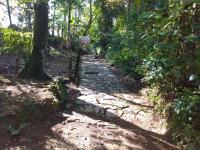 山林小屋周边自然景观