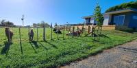 Country Comfort - only 10 minutes from Hamilton CBD外面的花园