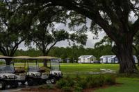 格尔夫海岸Gulf Shores RV Resort的两把高尔夫球车停在公园的树下