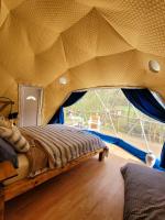 Nomad Glamping的休息区
