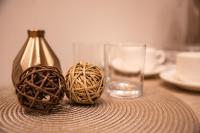Hotel Vila Hedonija的酒水