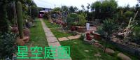 优美庄园家庭屋外面的花园
