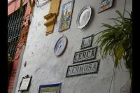 Típico y pintoresco patio de vecinos, con encanto的证书、奖牌、标识或其他文件