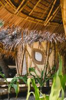 Dryft Darocotan Island平面图