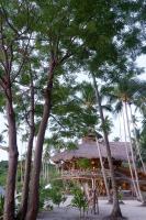 Dryft Darocotan Island外面的花园