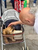入住New York Spirit Retreats HOSTEL的客人