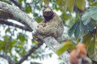 Chachagua Rainforest Hotel &amp; Hot Springs平面图