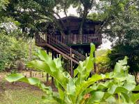 Hotel Heliconias Nature Inn &amp; Hot Springs外面的花园