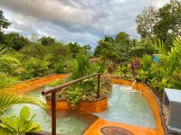 Hotel Heliconias Nature Inn &amp; Hot Springs外面的花园