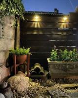 Bow Hanok House外面的花园