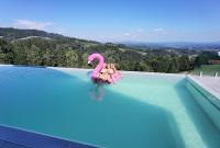 SchwanbergChalet-Südsteiermark - traumhafte Aussicht, Infinity Pool, Privatsphäre, Klima und de-luxe Ausstattung的游泳池里一个粉红色火烈鸟的女人
