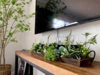 汉密尔顿M&amp;K Home with central air condition, 4 bedrooms, by Chartwell Shopping Centre的放着一堆植物的架子
