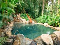 福尔图纳Chachagua Rainforest Hotel &amp; Hot Springs的水池里放着橘子鱼