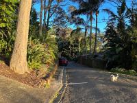 Palm beach Sydney, Modern home with water view平面图