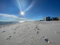 格尔夫海岸Deeded Beach Access- 10 min Walk to Hangout的沙滩上,沙滩上,阳光下,有足迹