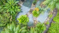 Chachagua Rainforest Hotel &amp; Hot Springs外面的花园