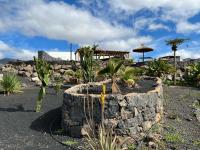 Finca Isolina Hotel Boutique - Adults Recommended外面的花园
