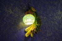 Mount Star Homestay平面图