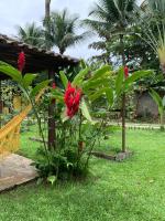 Pousada Serra da Bocaina Paraty外面的花园