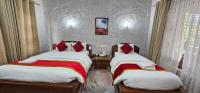 Jungle Safari Lodge- Serenity in the Wild客房内的一张或多张床位