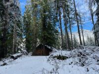 冬天的Chalet at Rainier Lodge (0.4 miles from the entrance)