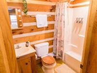 Rustic Cabin的一间浴室