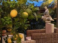 Romantic Relais Sorrento外面的花园